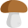 Voir les Champignons